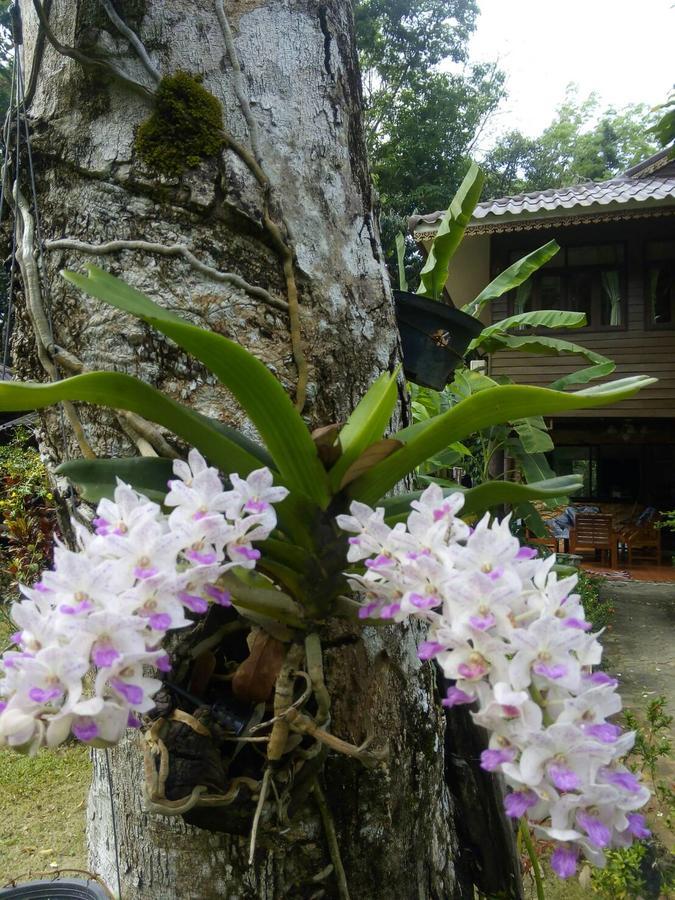 Koh Kood Little Hut Hotel Ko Kut Екстериор снимка