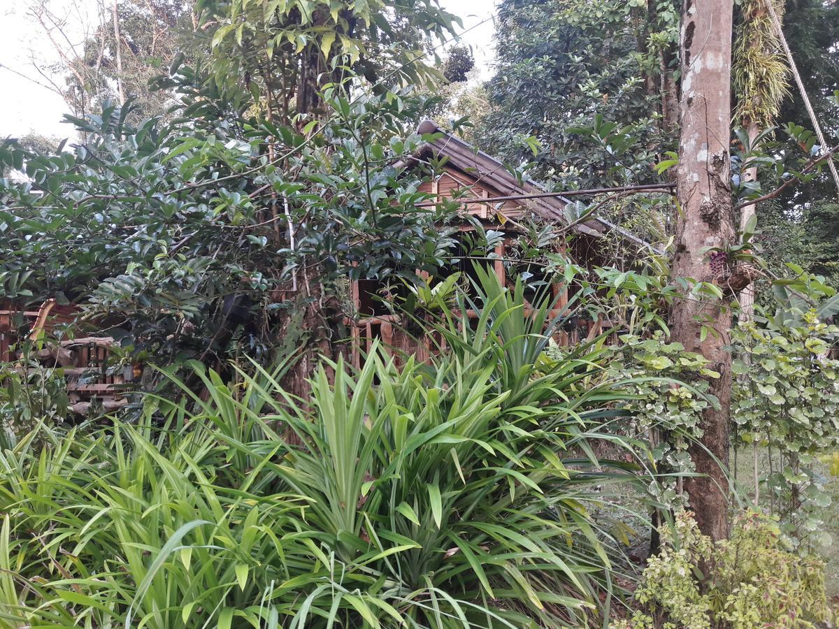 Koh Kood Little Hut Hotel Ko Kut Екстериор снимка